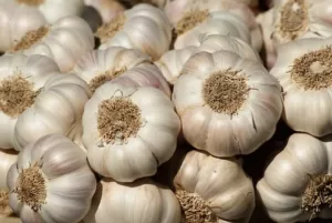 garlic for heart